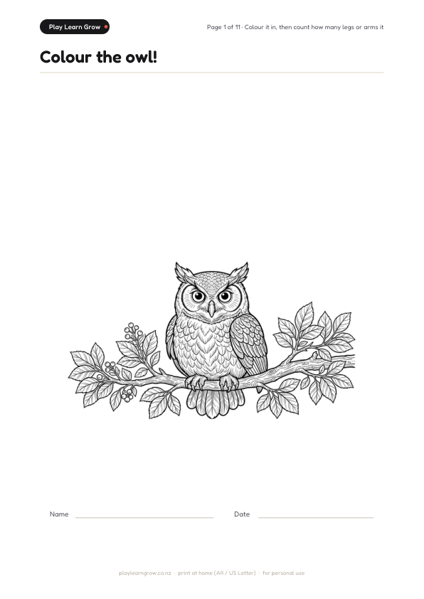 Woodland Animals Coloring Pack