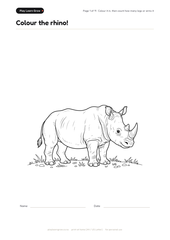 Safari Adventure Coloring Pack