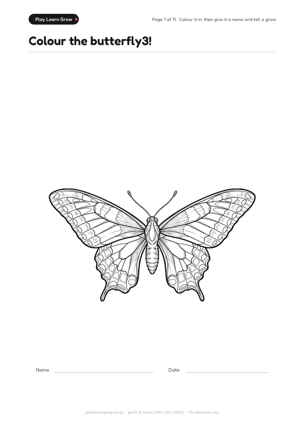 Butterflies Coloring Pack