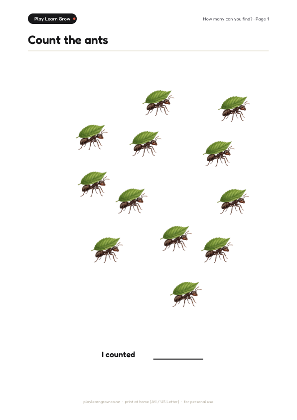Nature Activity Pack