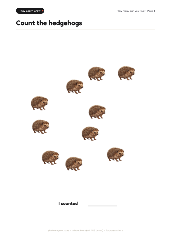 Woodland Animals Activity Pack