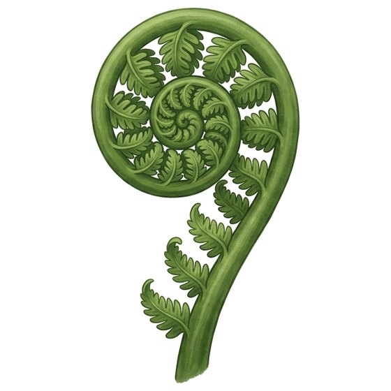koru