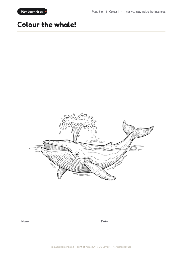 Colour the whale!