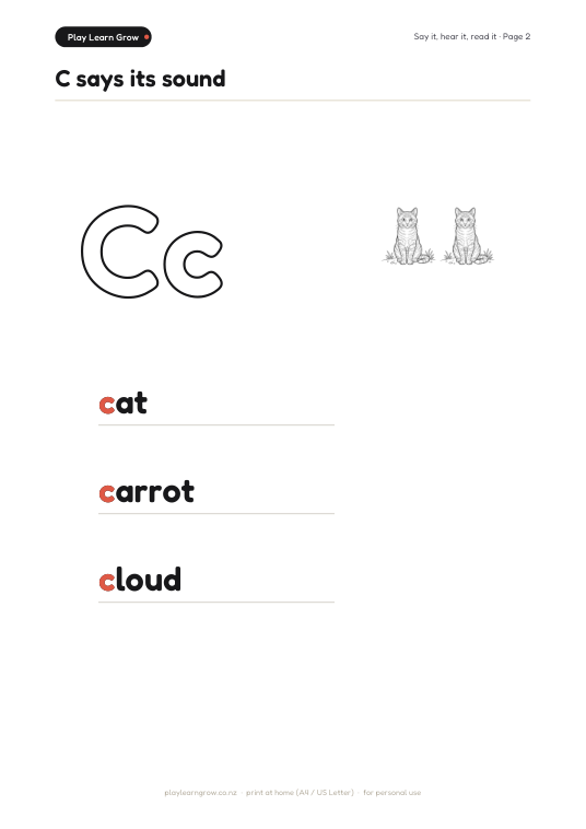 C says its sound page preview 1