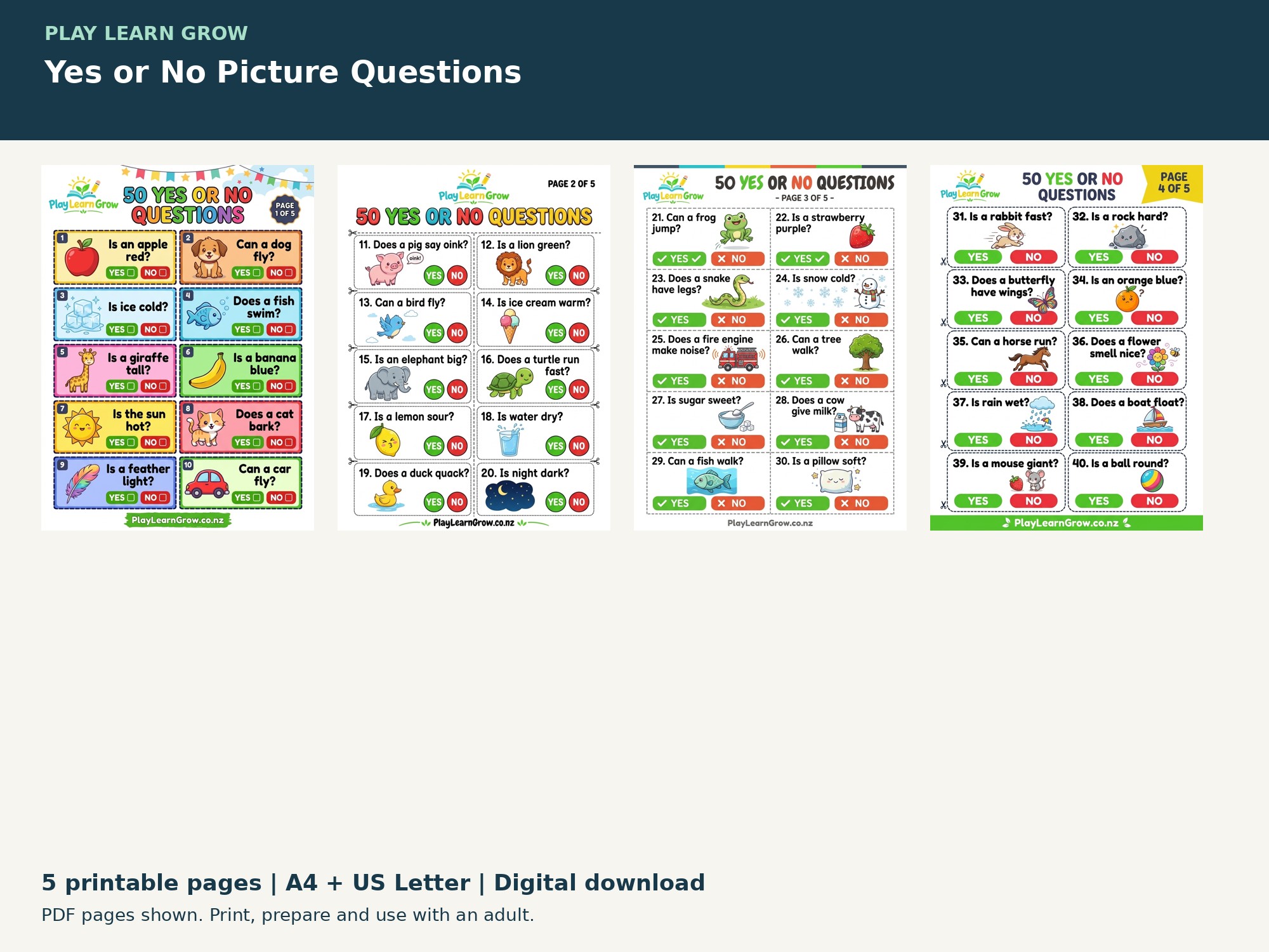 Yes or No Picture Questions preview 2
