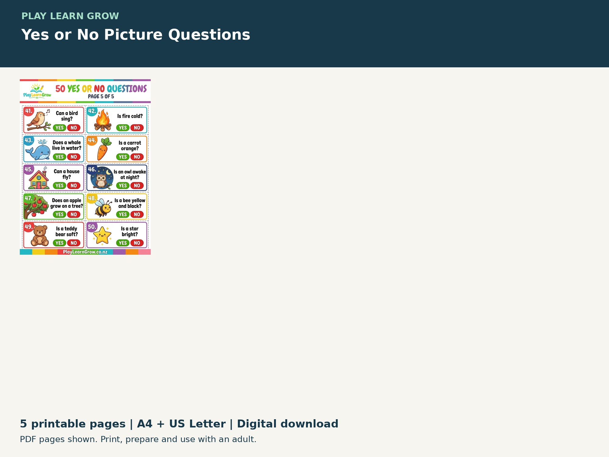 Yes or No Picture Questions preview 3