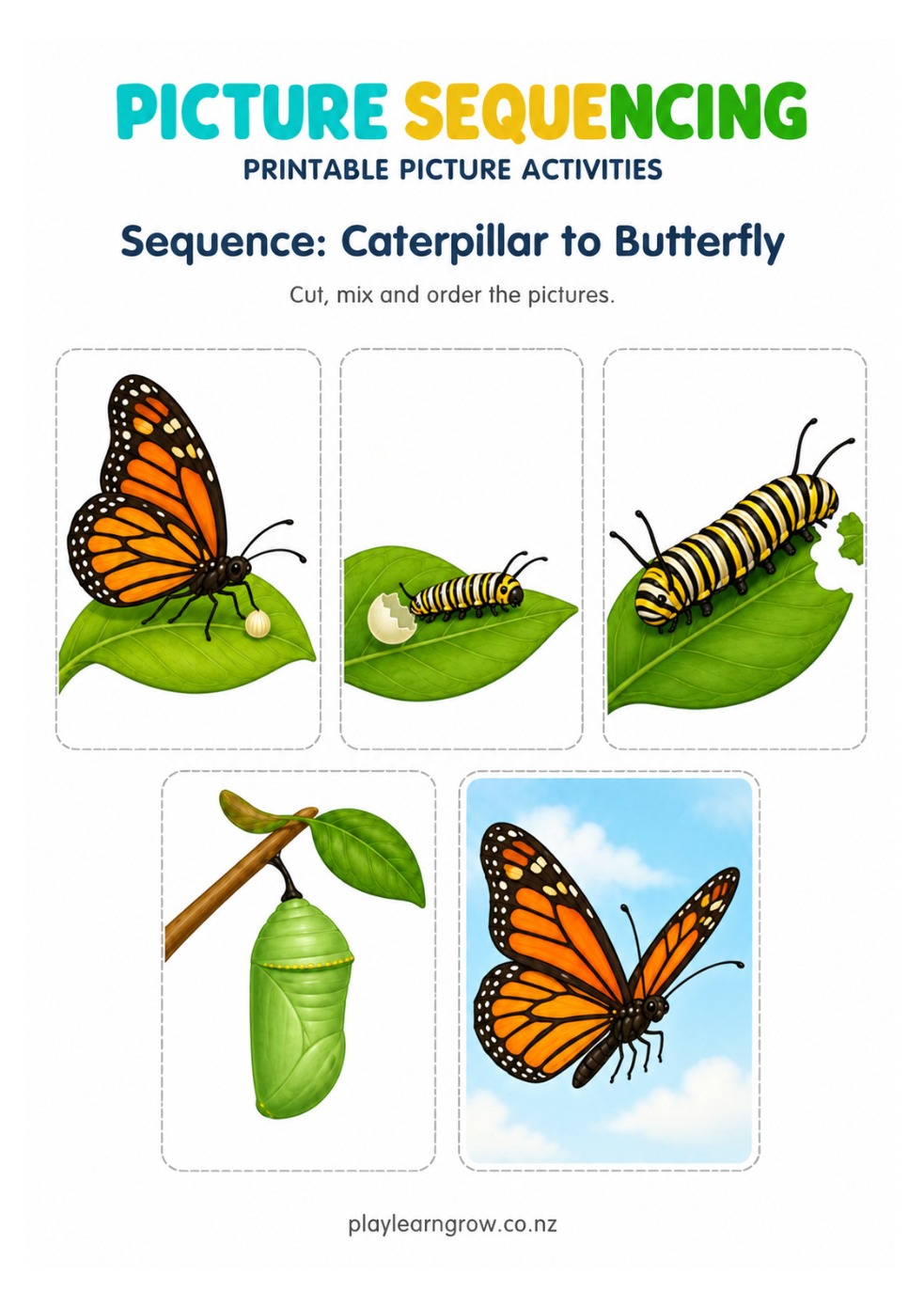 Picture Sequencing Activities preview 11
