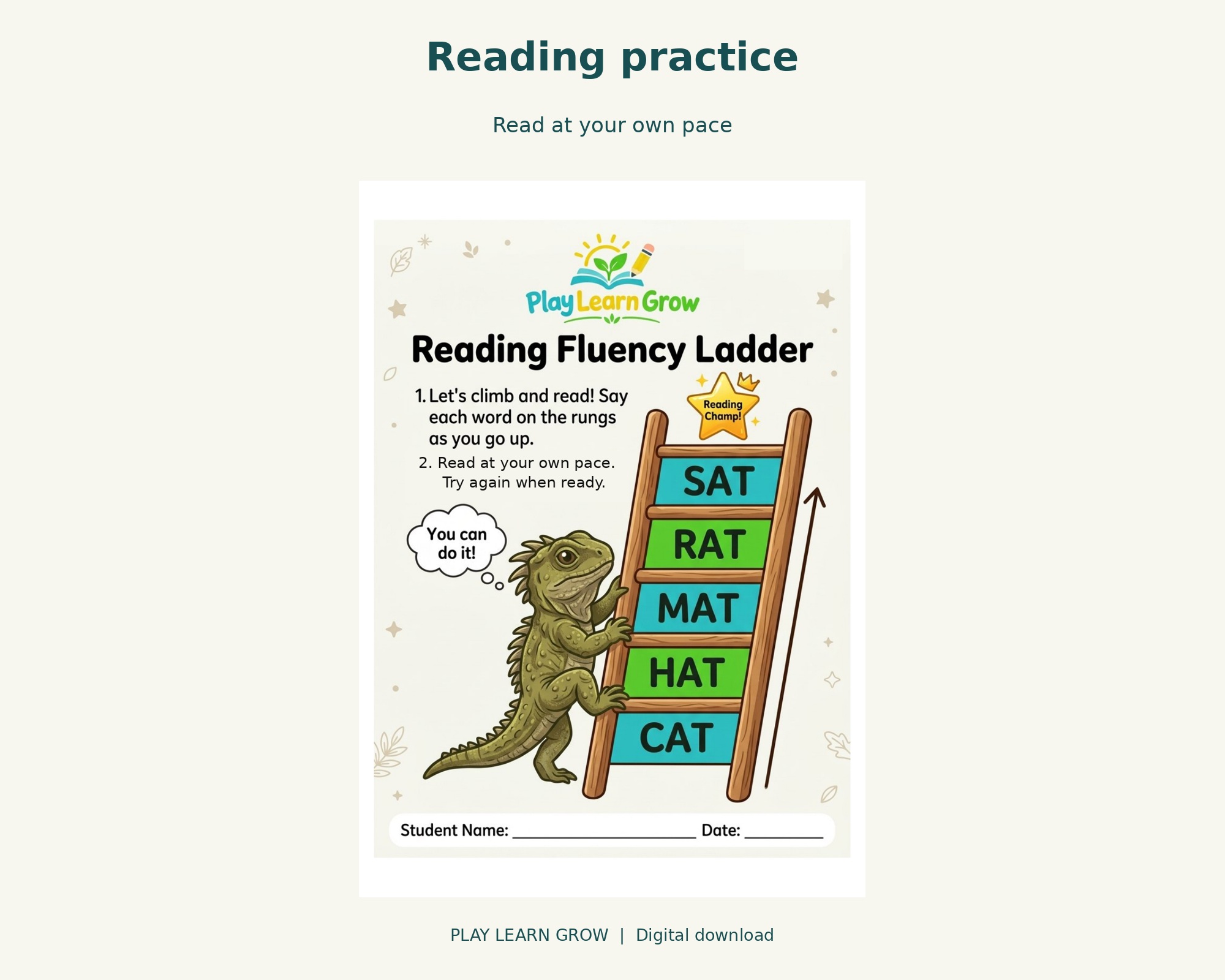 Reading Fluency & Visual Skills preview 4